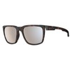 BEX® SUNGLASSES ADAMS FULL FRAME LIFESTYLE SUNGLASSES (Tortoise Brown/Brown/Silver)