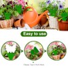 Boromine Fruit Fly Traps - 60 Pack Non-Toxic Green Stick