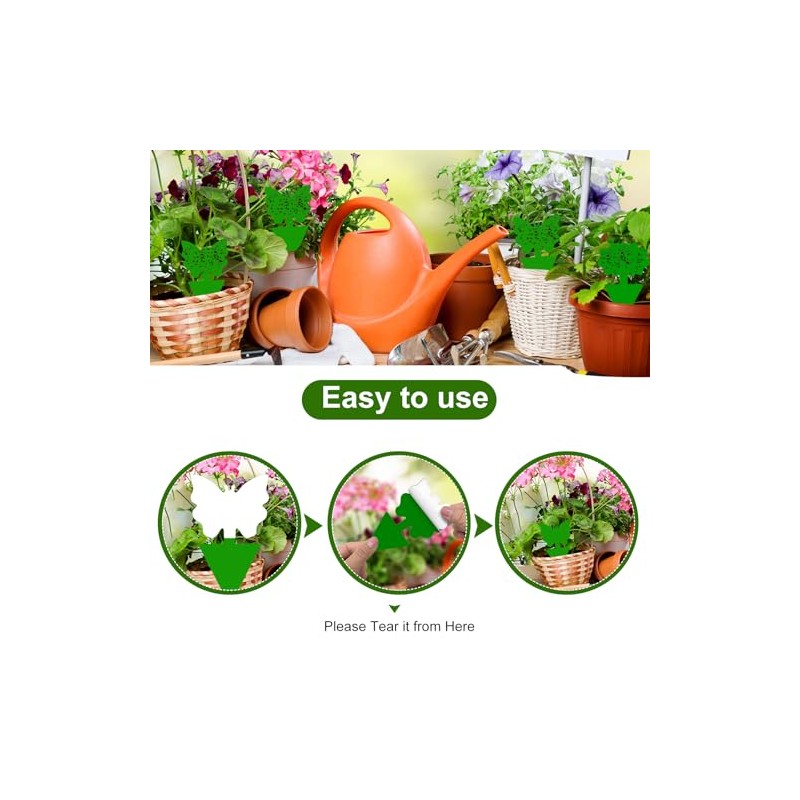 Boromine Fruit Fly Traps - 60 Pack Non-Toxic Green Stick
