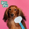 Fancypets Dry Pet Carda para Perro y Gato Tamaño Mediano.