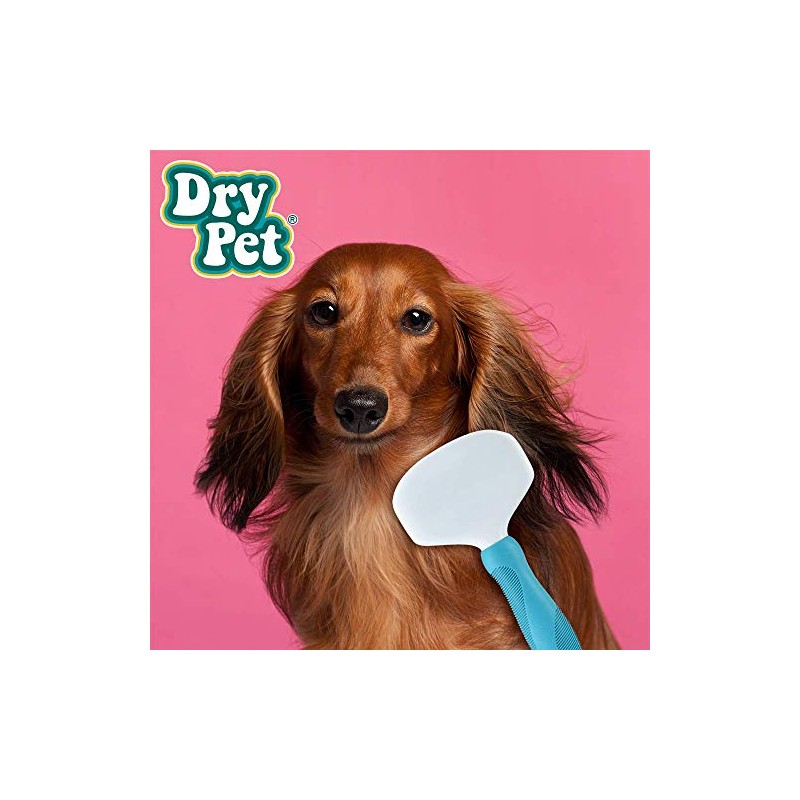 Fancypets Dry Pet Carda para Perro y Gato Tamaño Mediano.
