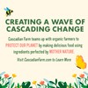 Cascadian Farm Organic Granola, Cocoa Almond, Protein Granola, Non-GMO, 9