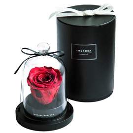 AMOROSA AM19-30 Amorosa Preserved Flower Diamond Rose Little Bell Bright Red Flower Birthday Anniversary Father's Day Proposal Graduation Retirement