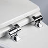 Plexon Toilet Seat with Chrome Hinges, Slow Close Wood Seat,