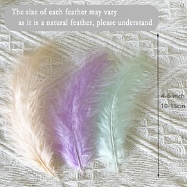 100pcs Fluffy Turkey Marabou Feathers Assorted Pastel Colors 4-6 Inches for Crafts Feathers for Dream Catcher Fringe Trim Colored Feathers Fly Tying Material