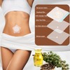 FWUNYVN 30Pcs Castor Oil Pack Wrap for Belly Button,Disposable Belly