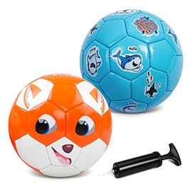 Pack of 2 Soccer Balls-PAOKOO Size 2 Kids Soccer Balls-Toddler Balls with Pump-Backyard Lawn Outdoor Toys for Boys and Girls Gift