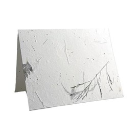 Of The Earth Handmade Paper - Wildflower Seed Paper Folding Card - Blank Inside - A2 Size - Set of 8 - Recycled Envelopes and Planting Guides Included (44s Fern)