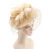 DRESHOW Fascinators Hat Mesh Veil Feathers Hat with a Headband