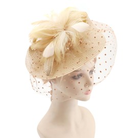 DRESHOW Fascinators Hat Mesh Veil Feathers Hat with a Headband and a Clip Tea Party Headwear for Women