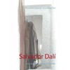 Salvador Dalí: Aus der Sicht seiner Schwester