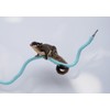 Jinymral Sugar Glider Cage Accessories, Ideal Climbing Toys Supplies for