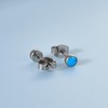 Titanium Earrings Hypoallergenic Women Men Girls G23 Titanium Stud Earrings