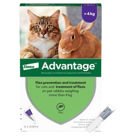Advantage Flea Treatment 80 for Large Cats and Rabbits 4x Pipette, For Pets Weighing More than 4kg, Spot-on Treatment to Kill and Prevent Fleas on Large Cats and Treat Fleas on Pet Rabbits