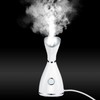 Facial Thermal Steamer Nano Water Spray Acne Wrinkle Removal Moisturizing
