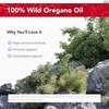 Physician's Strength OregaWild - 13.5 mL - 100% Wild Oregano