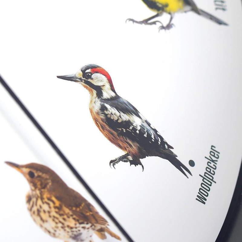 GEEZY Singing Bird Wall Clock, 12 Native Bird Species, Cuckoo