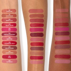 COVERGIRL Covergirl Outlast Forever Velvet Pigment, 200 Baked Clay, Matte Lipstick, Vegan Formula, Easy to Use, Glides on Effortlessly, Long-Lasting, Perfect Color, 0.30oz