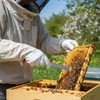 DoubleFill 8 Pcs Beehive Parts Kit for 10 Frame Bee