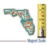 Florida Premium State Magnet by Classic Magnets, 3.4" x 2.9",