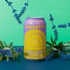 Unsweetened Sparkling Green Tea by Tama Tea - Organic Lemo
