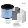 FFyan AP100 3-in-1 H13 True HEPA Replacement Filters for Instant