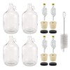 North Mountain Supply 1 Gallon Glass Fermenting Jug with Handle