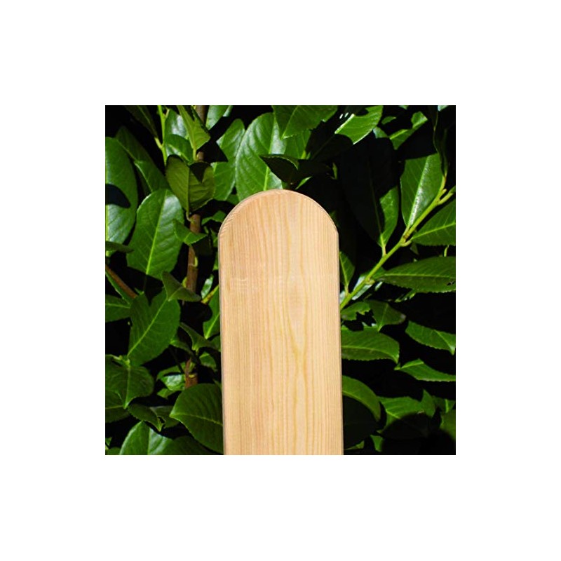 Arktic Fence Slat Larch Approx. 20 x 68 mm Length