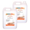IDEAL 365 Coconut Hand Hair And Body wash 5 Litres