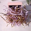 2LB Crinkle Cut Paper Shredded Paper for Gift Box Baskets