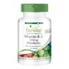 Vitamin B-2 Riboflavin 100Mg 100 Tablets – Vegetarian Multi Talent Metabolism – Support for a powerful