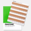 PANTONE LNDS-1PK-D50 Lighting Indicator Stickers D50