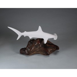 HAMMERHEAD SHARK Sculpture by JOHN PERRY 12in long on polished burlwood base Pellucida. Signed.