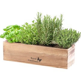 Royal Gardineer Plant Growing Set: Gift Box Growing Set Italian Herbs with Seeds, Scissors, Sprayer (Italian Herbs Plants, Herb Growing Set Windowsill, Propagation Station)