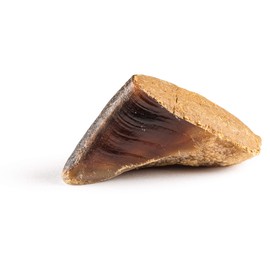 Jack&Pup Filled Cow Hooves for Dogs | Stuffed Dog Chew Hoofs | Natural Dog Chews Cow Hoofs for Dogs (Bully Stick - 1 Hoof)