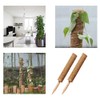 Moss Pole For Monstera, Moss Pole, Coir Totem Plant Support