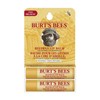 Burt's Bees 100% Natural Moisturising Lip Balm Pack of 2,