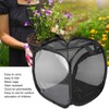 Insect Mesh Black Cage Foldable Mantis Butterfly Habitat Net Outdoor