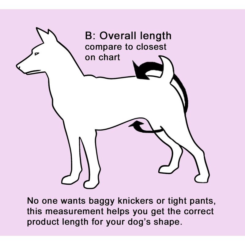 Glenndarcy Female Dog Season Nappy - Waterproof Fabric (Size Small