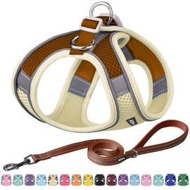 AIITLE Easy Walk Dog Harness and Leash Set - Pet Supply No Pull, Step in Adjustable Dog Harness with Padded Vest for Spring, Dog Harness No Choke Over, Easy to Put on Medium Dogs Beige L