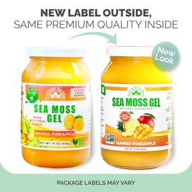 EverSmith Organics - Gel De Musgo Marino Irlandés Silvestre | | Rico En Vitaminas Y Minerales | Gel De Musgo Marino Crudo | Suplemento Nutricional | M