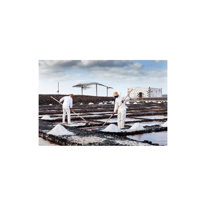 Sal de Fuerteventura Organic Sea Salt 500g (18oz)