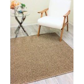 Koeckritz Soft Frieze Texture 8' x 10' Speckled Multi Brown Area Rug | Any Room