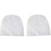 2Pcs Activated Carbon Filters Compatible with EBAC 2000 Series 2600e
