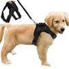 FUNKEEN PET HOUSE Soft Padded Dog Harness Adjustable No Pull