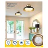 kudos Semi Flush Mount Ceiling Light Fixture, Black and Gold