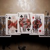 MJM Mandalorian V2 Playing Cards by theory11