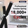 Toriexon Garage Door Spring 0.207 x 2” x 24” (Pair),
