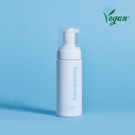 Etude [에뛰드]순정 약산성 6.5 휩 클렌저 [Etude] Pure Low-acid 6.5 Whip Cleanser