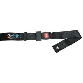 Wheelchair SEAT Belt, Push Button Buckle, Black 2" Webbing. (60in Long)